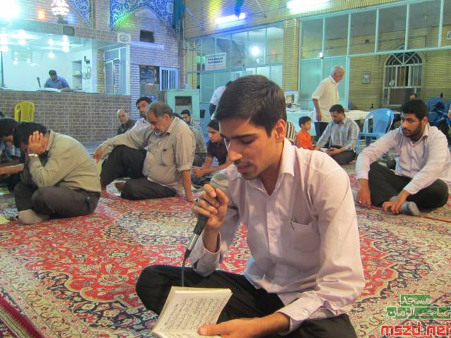 shaban8